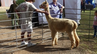 meeting Sam 03 Long Legs.jpg